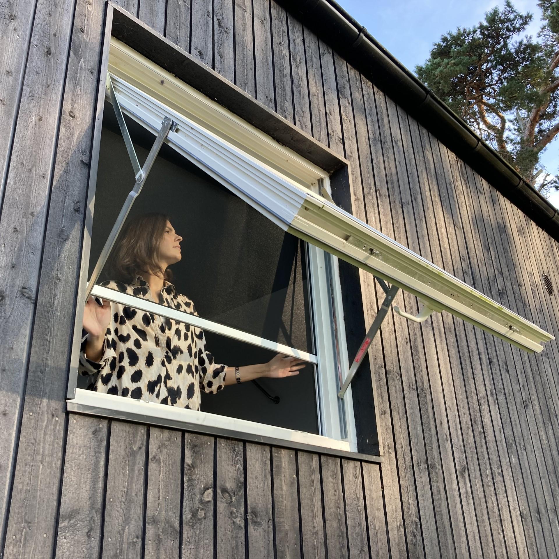 Fönster med myggnät